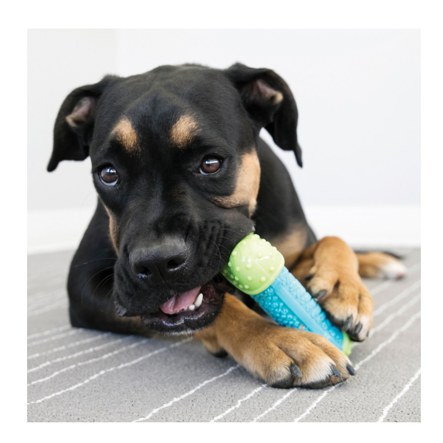 Osso para cães Kong Corestrength