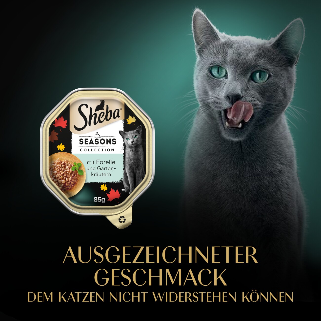 Sheba Seasons Collection wechselnde Sorten 22x85 g