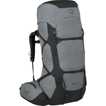 Osprey Aether Pro 75 Rucksack Silver Lining Herren