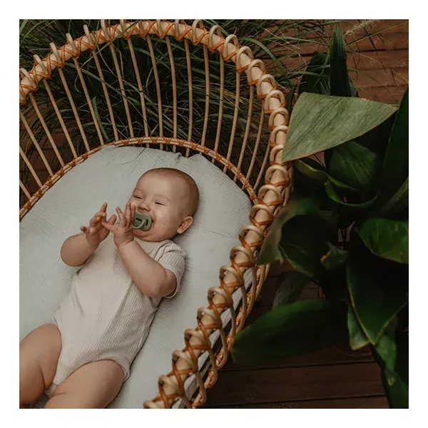Loção repelente de insetos Suavinex Baby 2M+ 100 mL