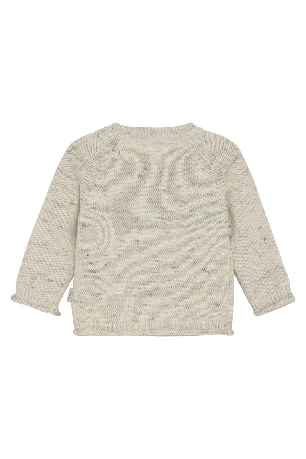 Noppies Baby Trui Sedco - Grey Melange
