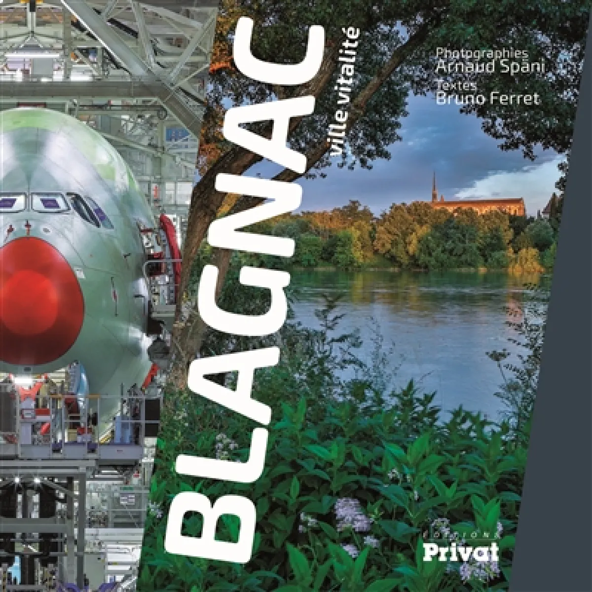 Blagnac : ville vitalité · Occasion