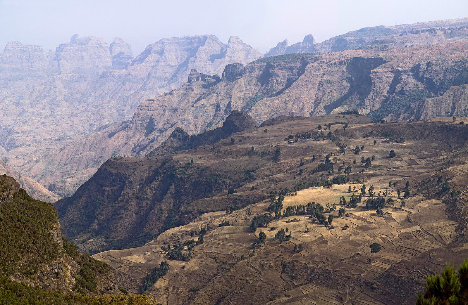 Simien Mountains, Äthiopien by Farin Urlaub - Limited Edition. Edition of: 100. Signed.