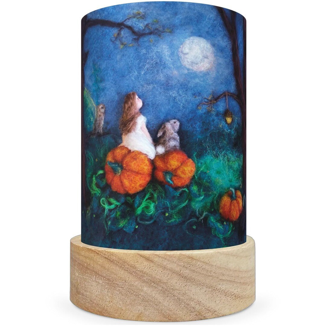 Toverlux lichtkaarten voor lantaarn het wol feetje