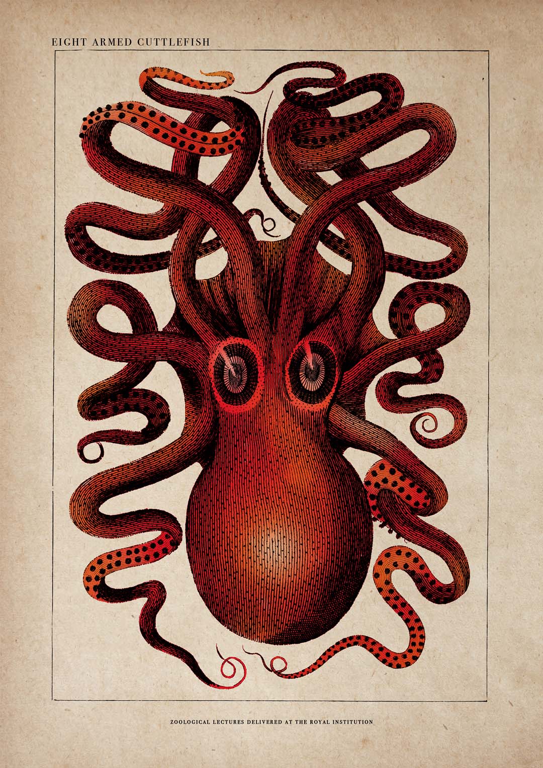 Antiker roter Oktopus