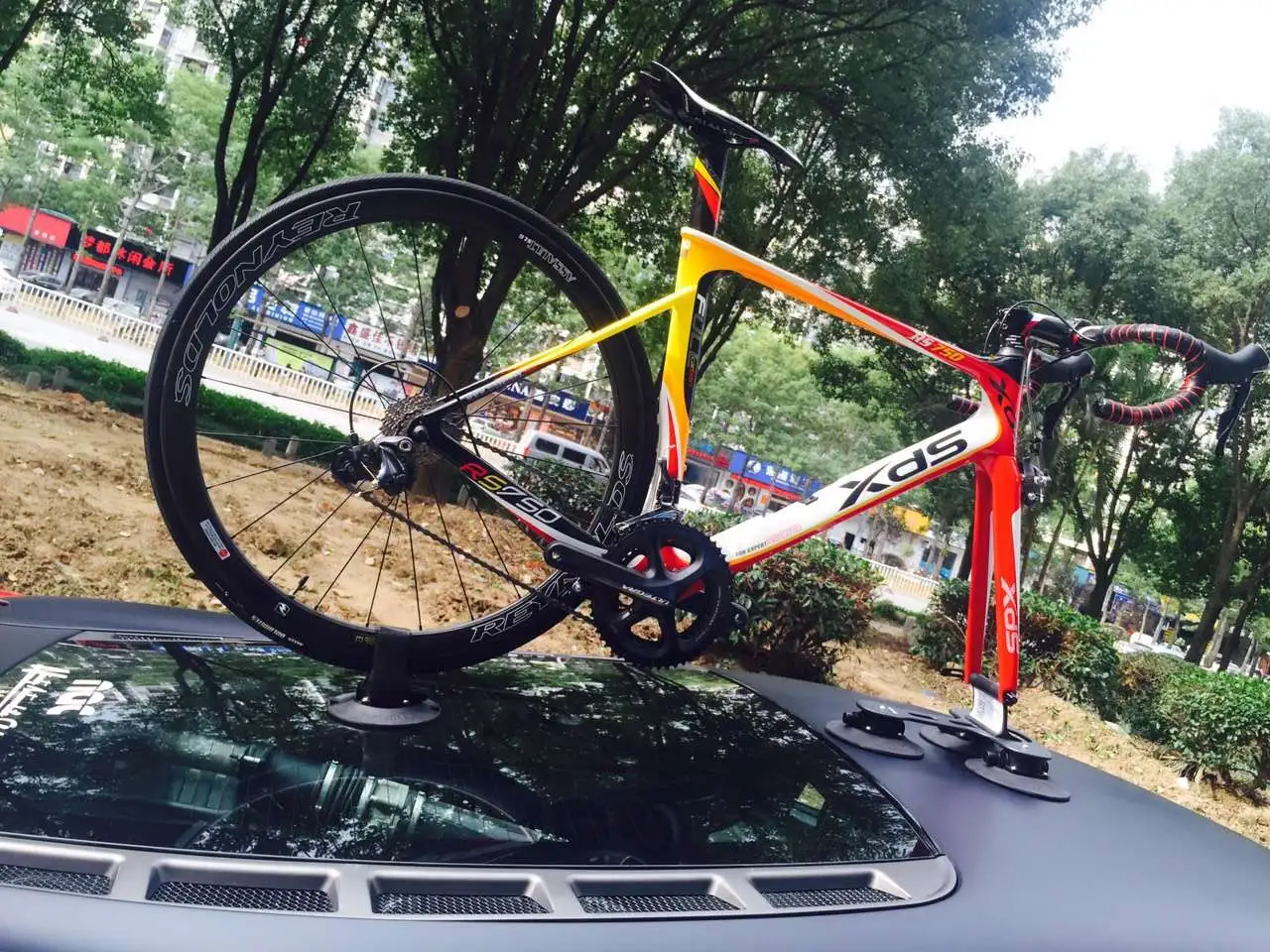 TreeFrog Pro 1 Cykelholder med Sugekopper