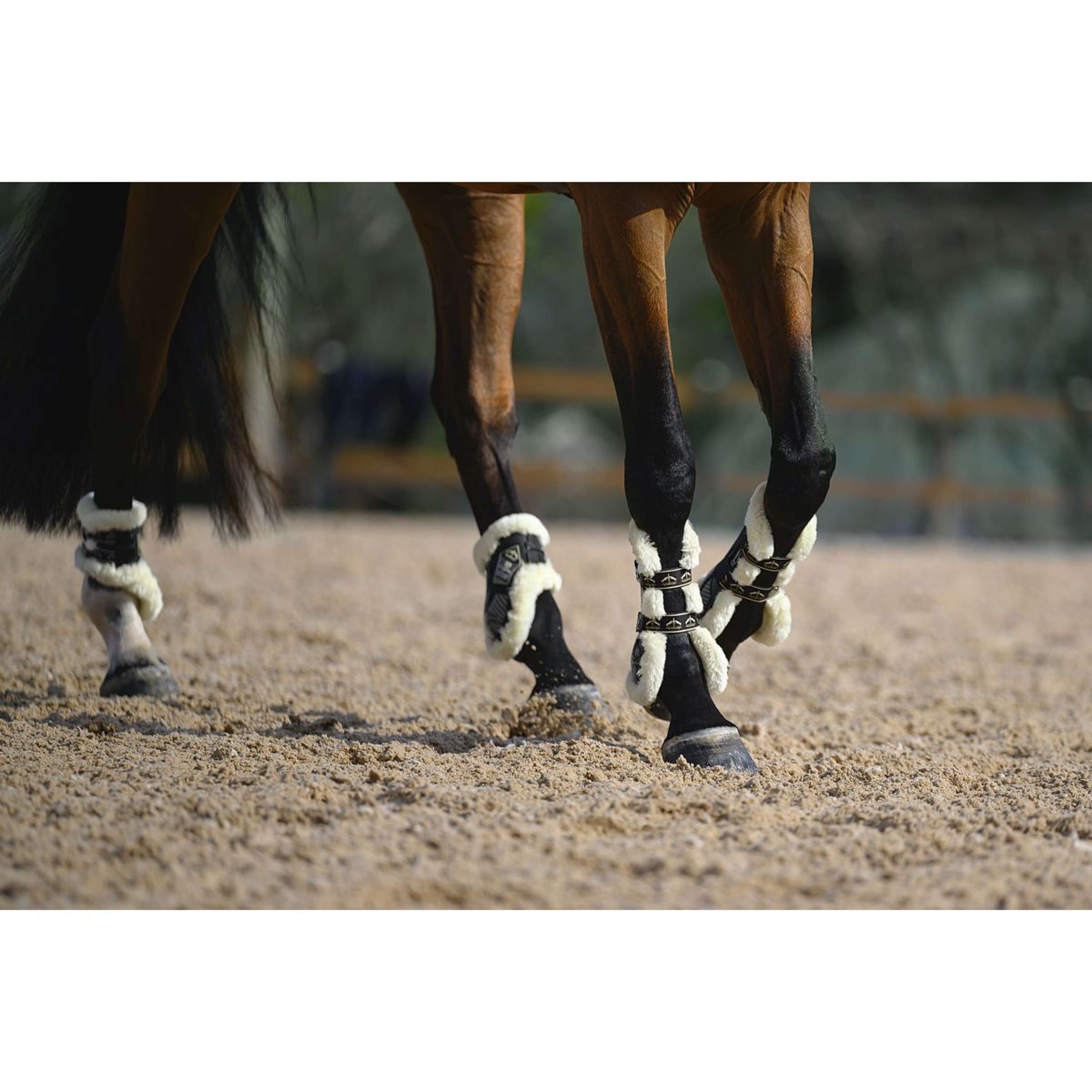 Veredus Strijklappen Carbon Gel Absolute Save the Sheep Rear Zwart