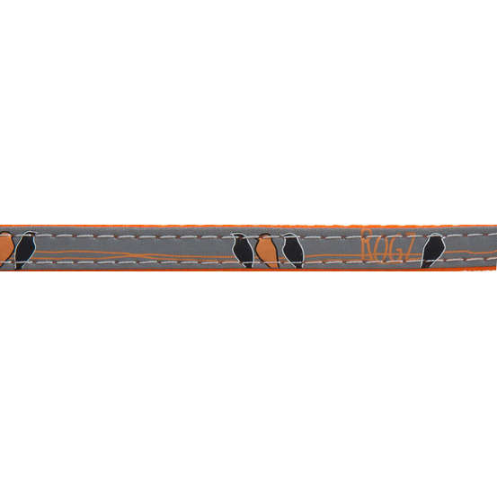 Collier Night pour chat : Orange