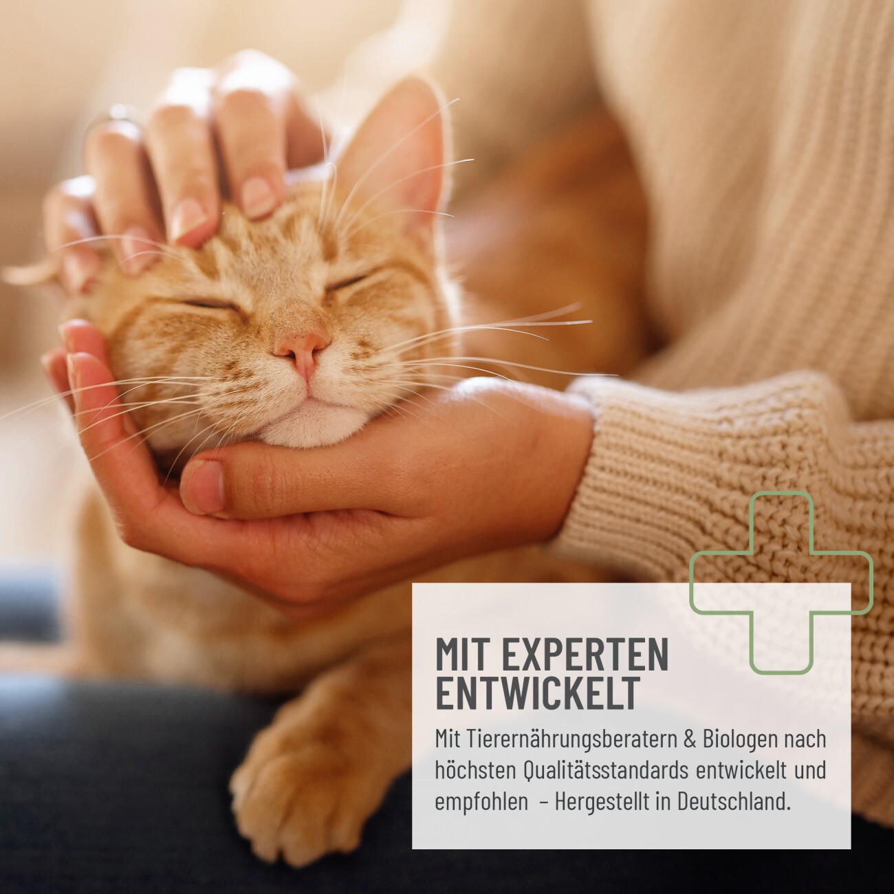 REAVET Senior Complete für Katzen 50g