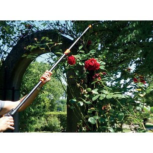 Tête de rechange pour Cavalier à la rose
