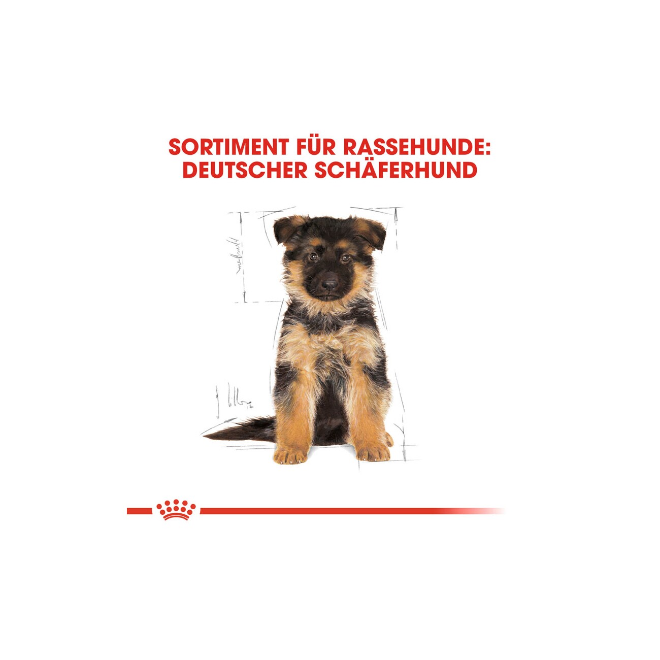ROYAL CANIN German Shepherd Puppy 3 kg