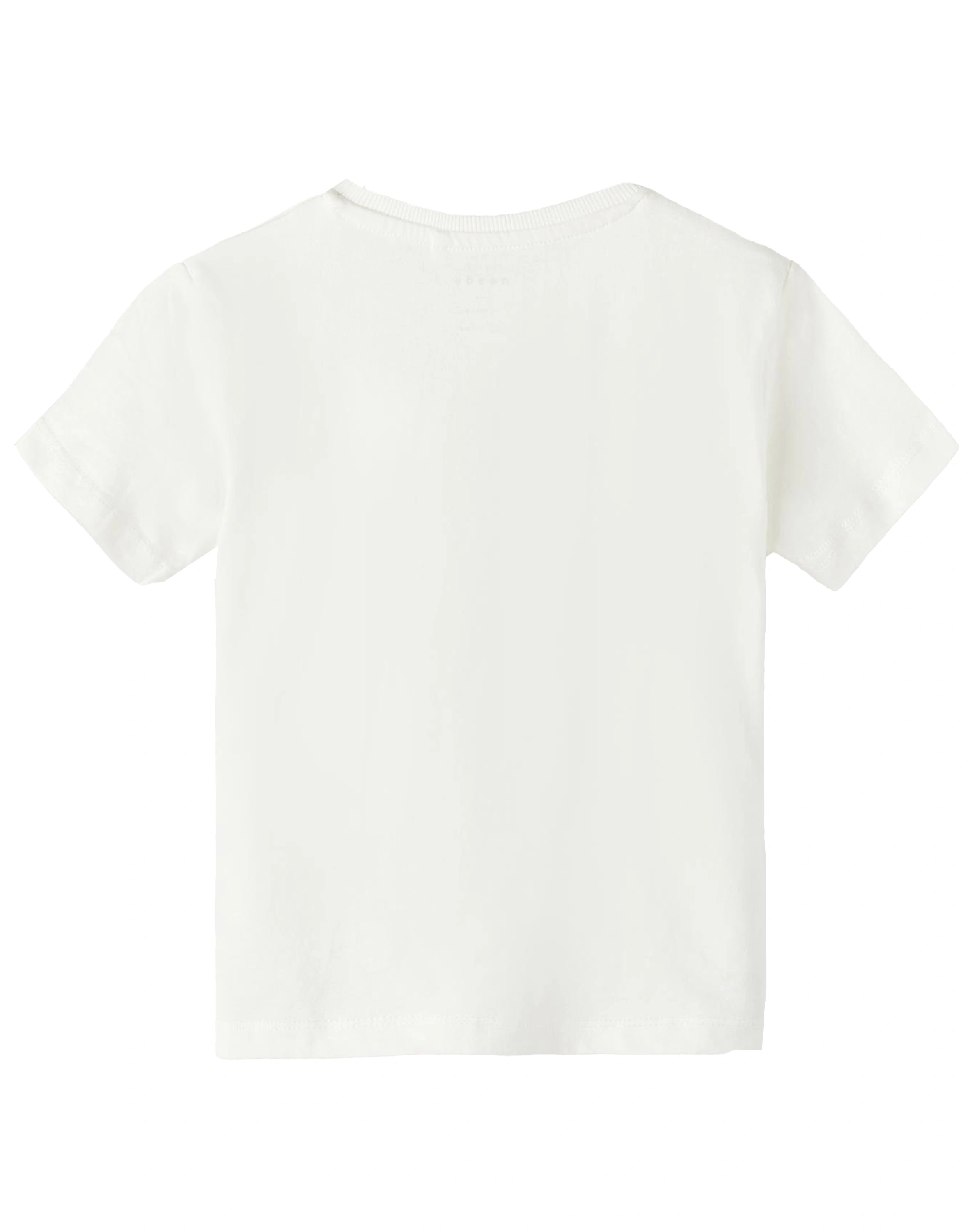 T-Shirt NMMVAGNO in white alyssum