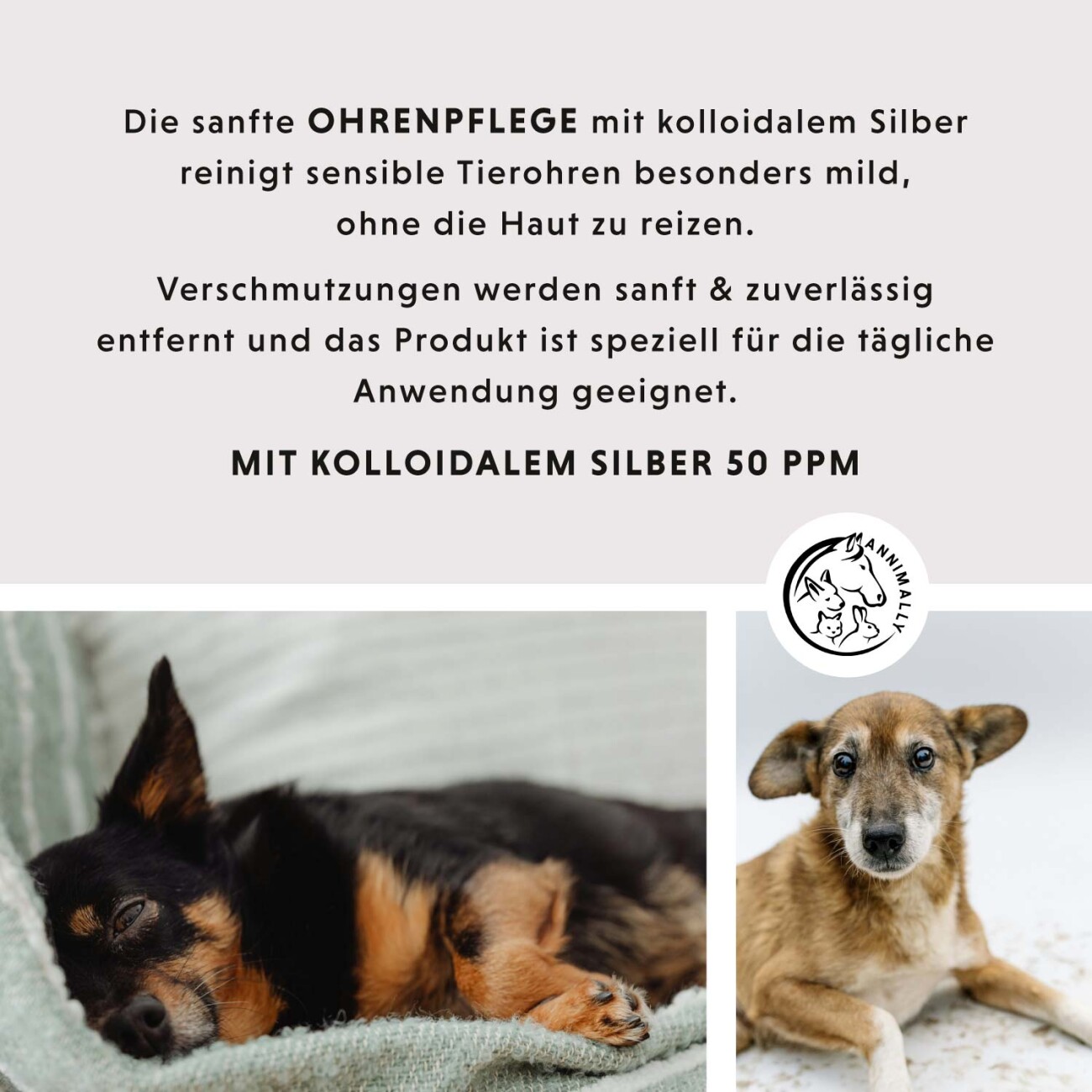 Annimally Ohrenpflege mit kolloidalem Silber 50 ppm