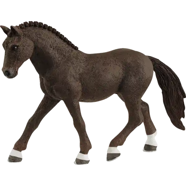 13926 Deutsches Reitpony Wallach