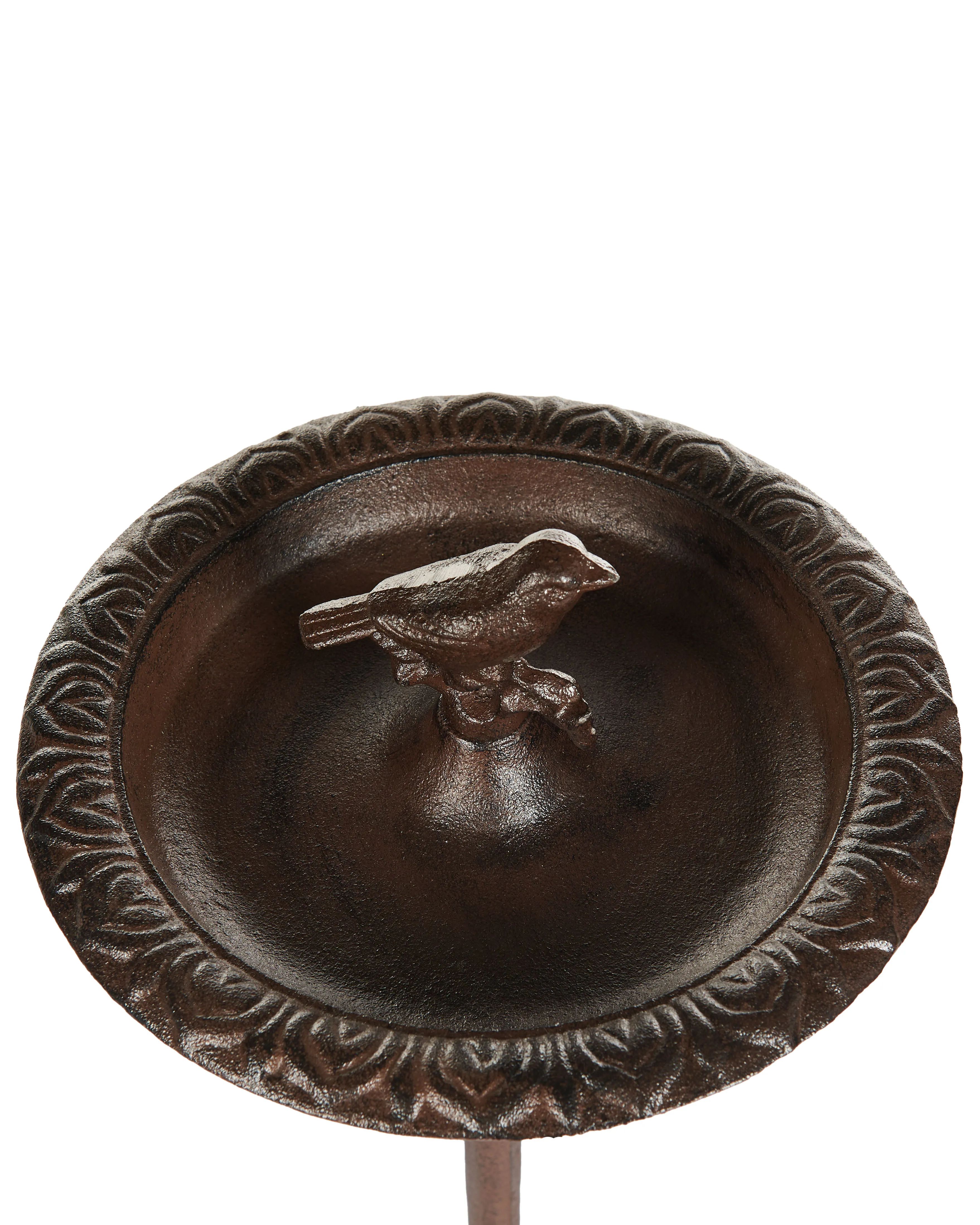 Vogelbad SWALLOW Bruin