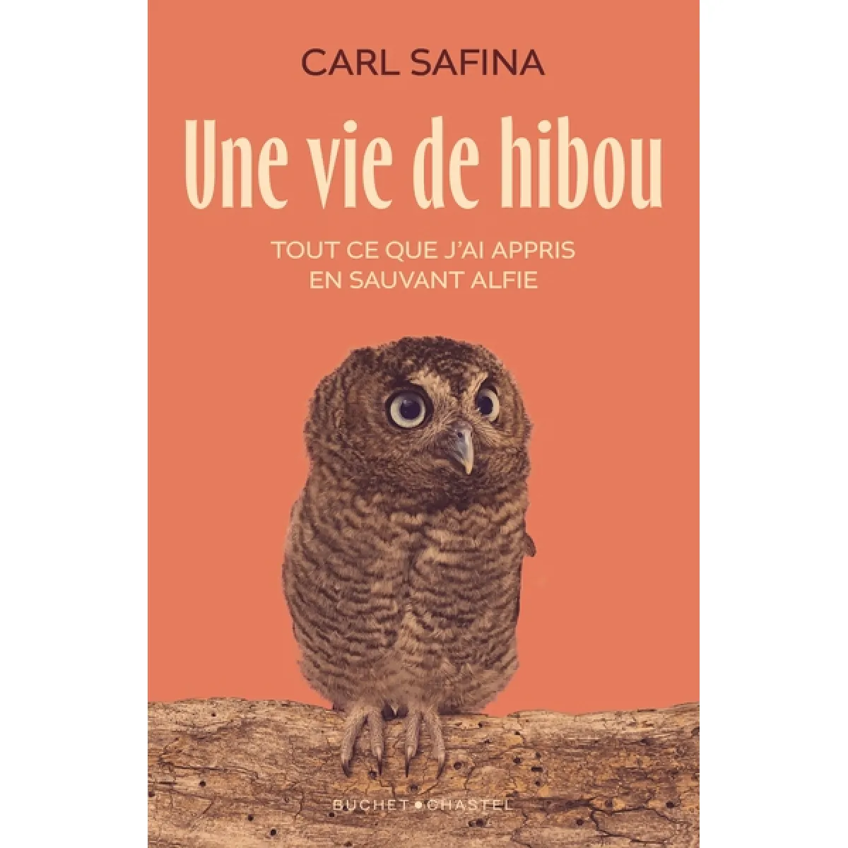 Une vie de hibou : tout ce que j'ai appris en sauvant Alfie · Occasion