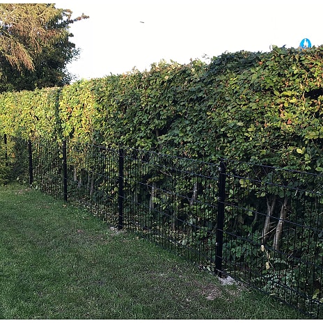 HORTUS panelhegn med dekorations 