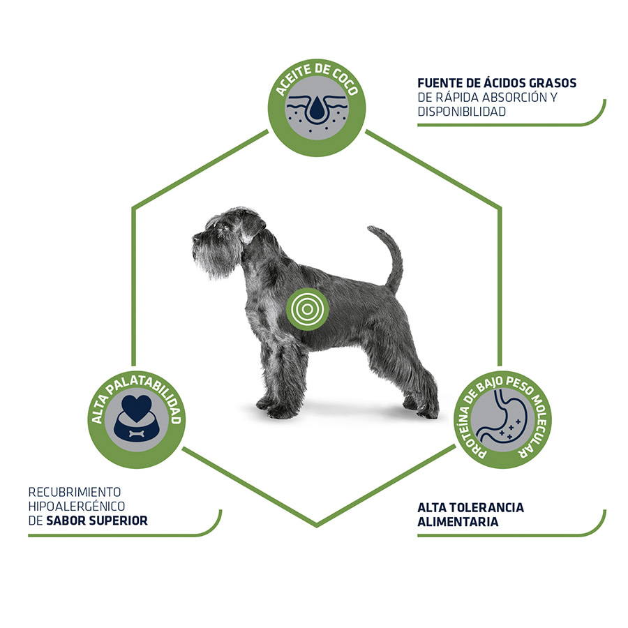 2,5 kg de ração hipoalergênica para cães da Advance Veterinary Diets