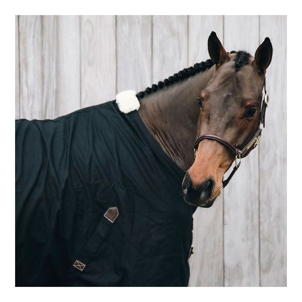 Kentucky 52124 - Chemise d'écurie black/black