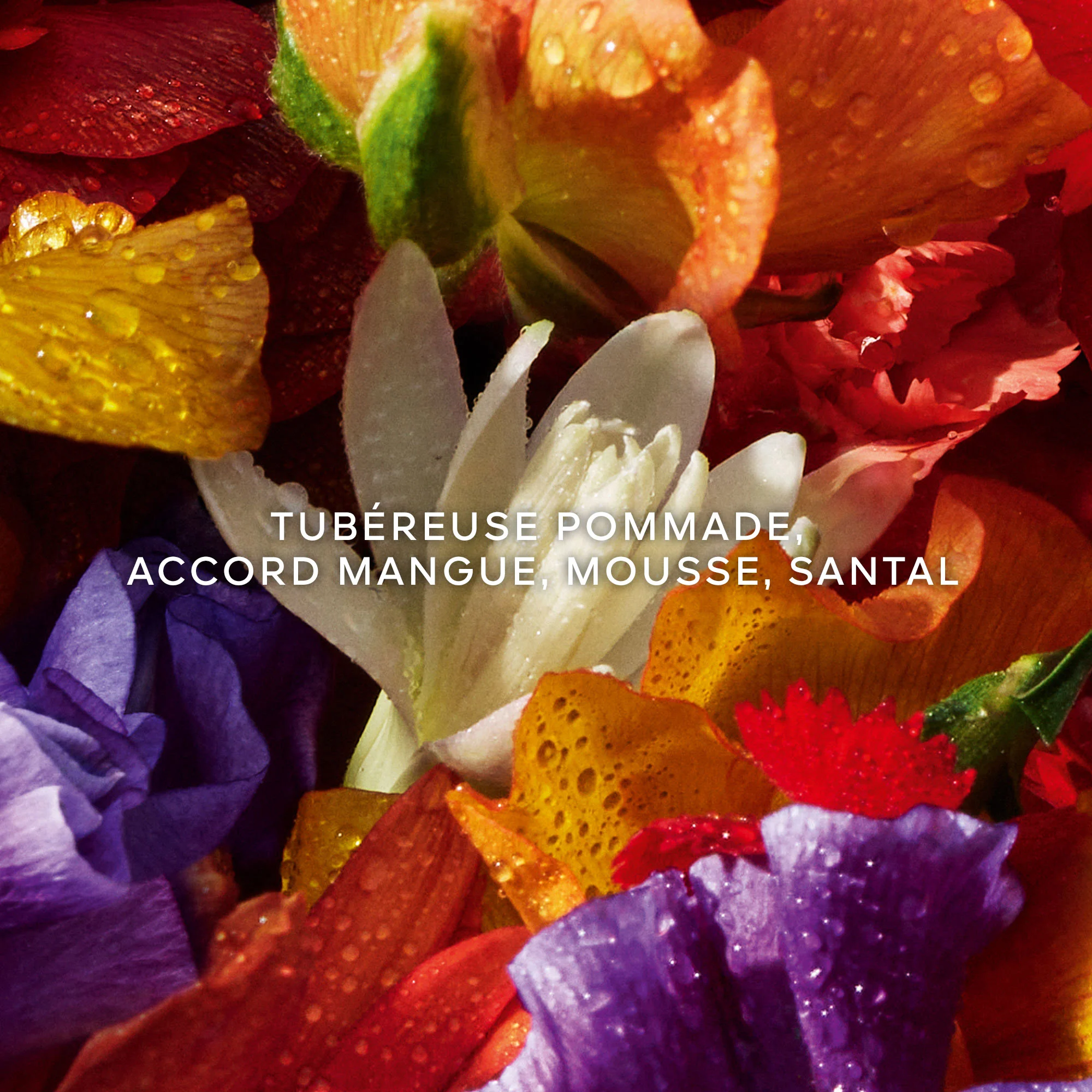 Aqua Allegoria Forte Florabloom Eau de Parfum |