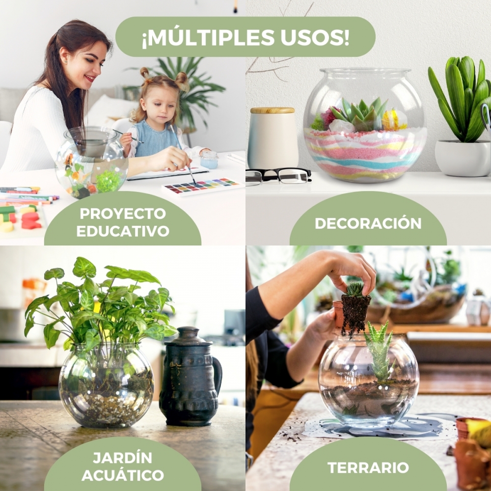 Aquário transparente de 4 litros em PET ecológico para peixes pequenos, fácil de limpar, Nemo Aquatic Garden