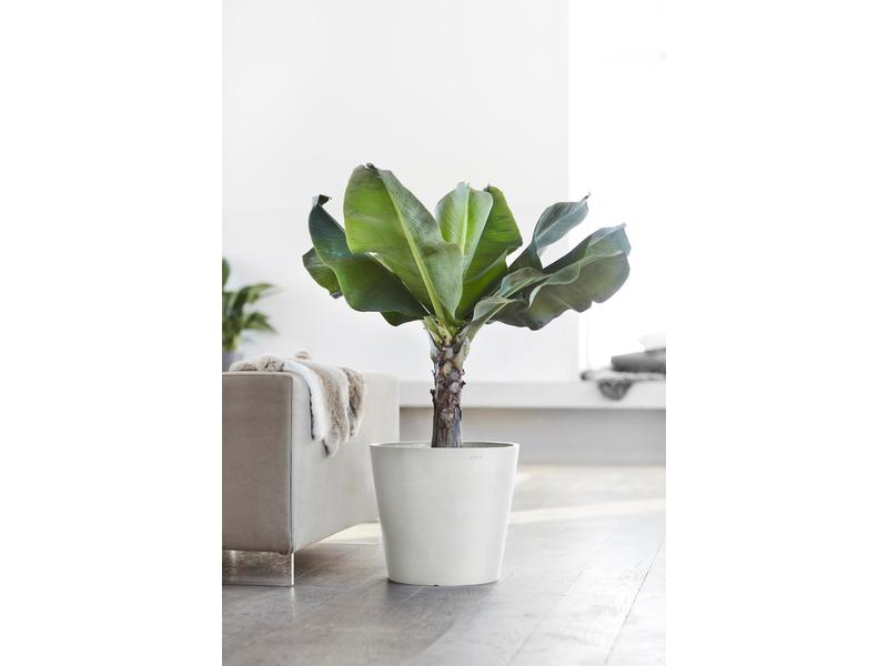 Ecopots Pflanzentopf Amsterdam 40, Weiss Robuster und langlebiger Blumentopf