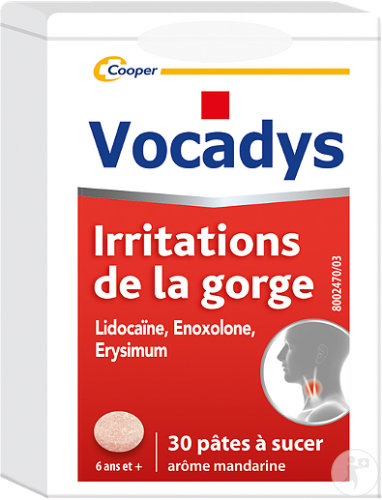 Vocadys Irritations De La Gorge 30 Pâtes À Sucer