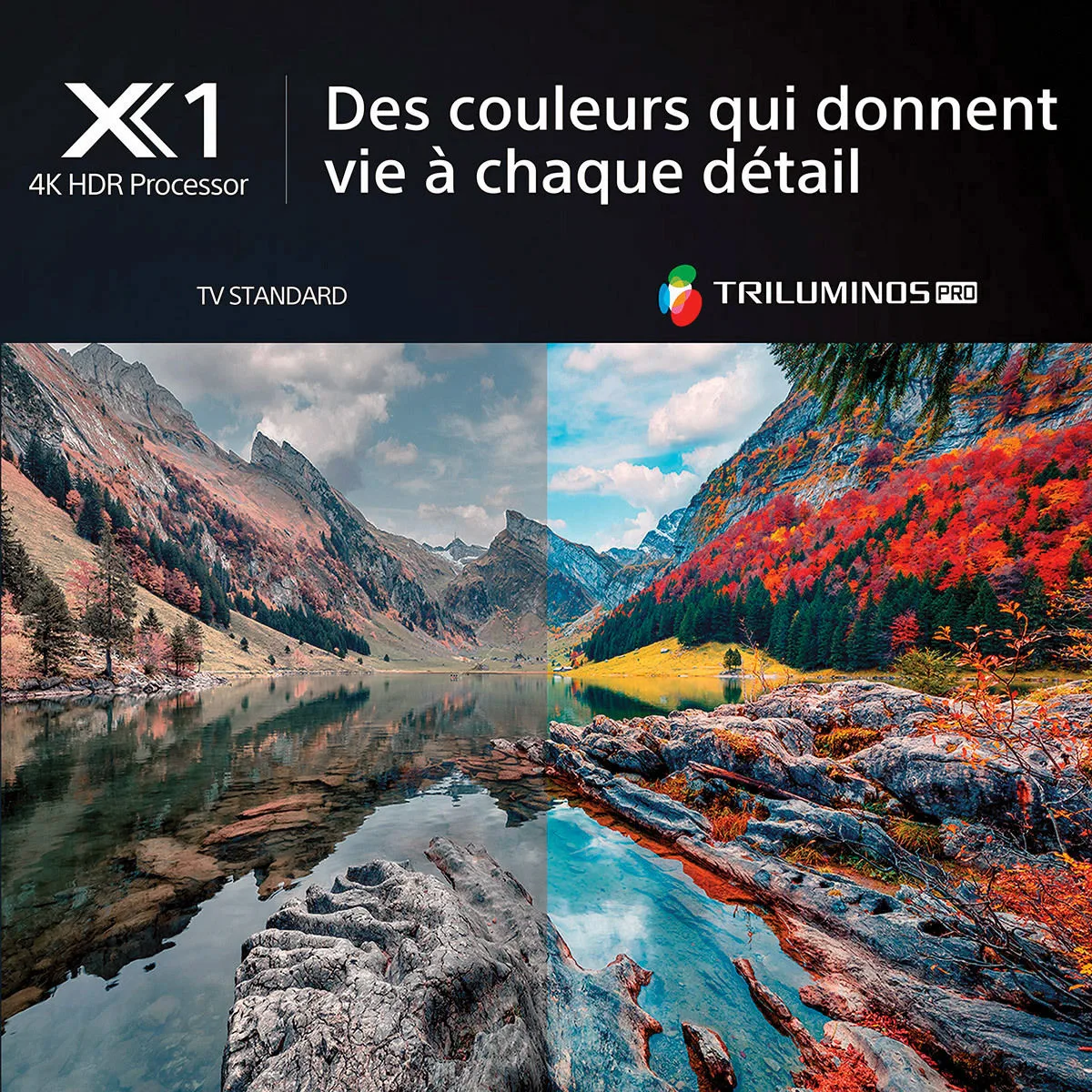Sony KD-50X80L TV UHD 4K