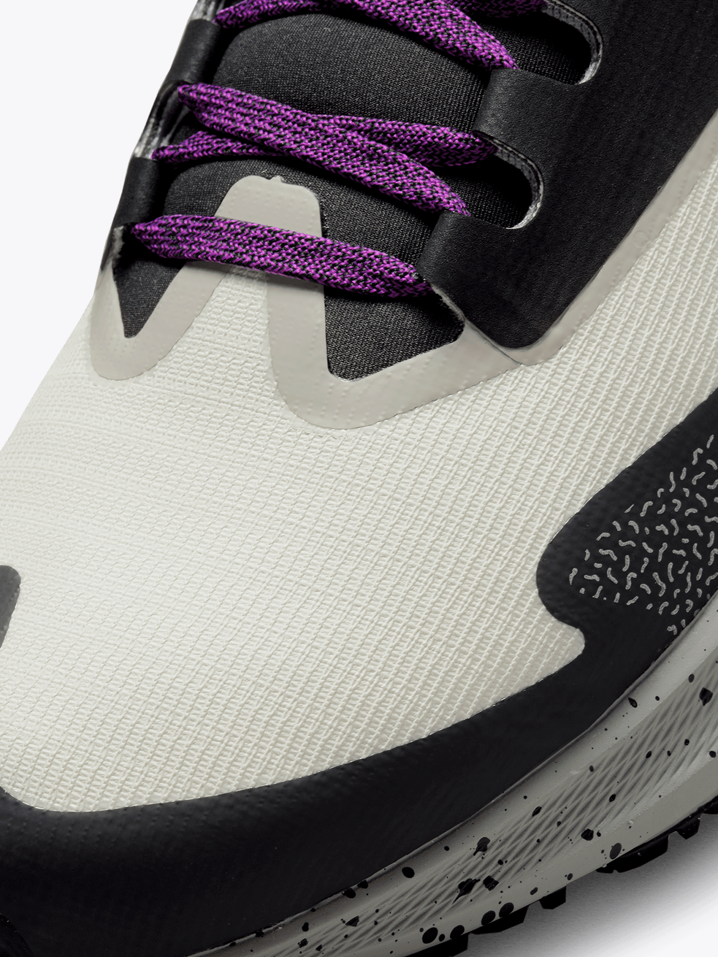 Air Zoom Pegasus 39 Shield