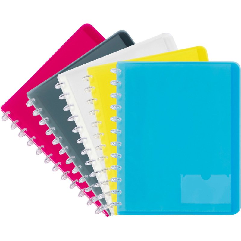 Protège-documents Viquel Géode polypropylène translucide A4 30 pochettes - 60 vues couleurs assorties