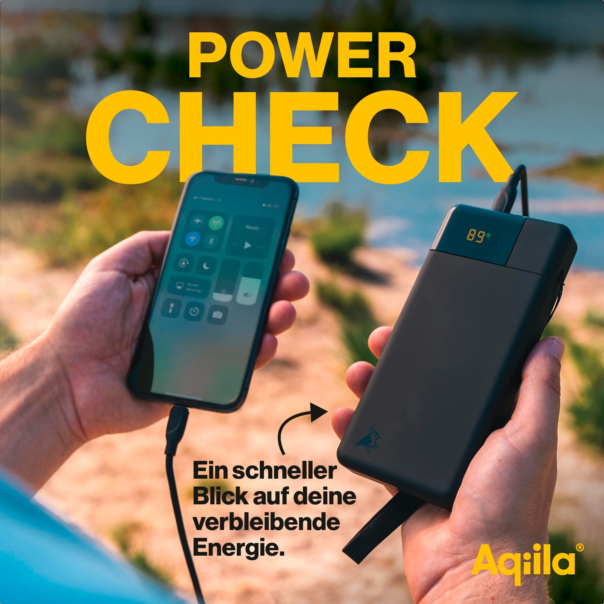 Aqiila Powerbird Powerbank 65 W 20000 mAh schwarz