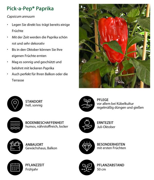 Pick-a-Pep® Paprika, rot