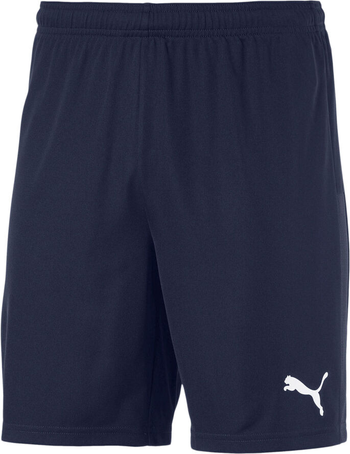 Puma Teamgoal 23 Knit shorts Blå
