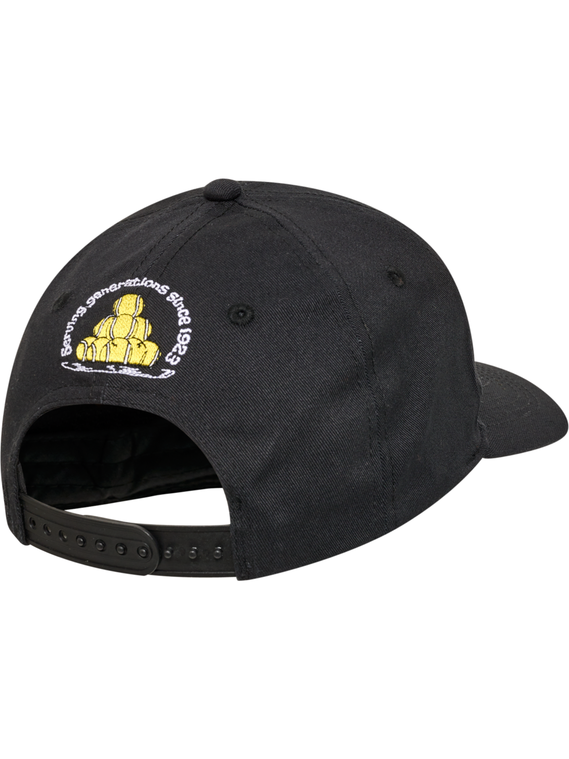hmlSNAP CAP CALL US