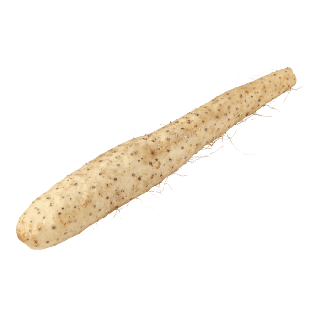 Dagverse Japanse bergyam (Yam Nagaimo) 1kg