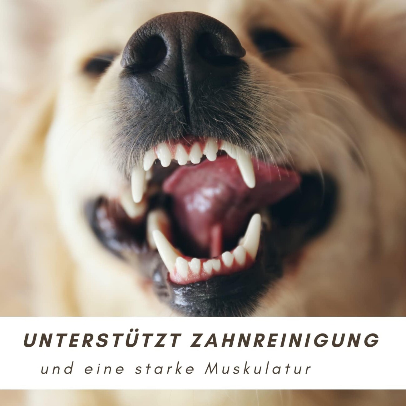 Supravit Rindfleischstreifen für Hunde200g