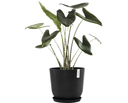 Ecopots Oslo kunststof bloempot, Ø 42,6 cm, 45 x 45 x 39,4 cm, donkergrijs