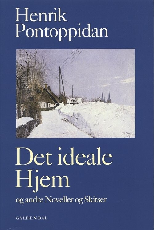 Det Ideale Hjem - Henrik Pontoppidan - Bog
