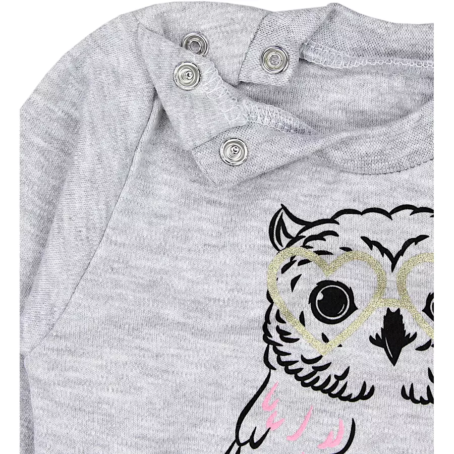 TupTam Baby Mädchen Langarmshirt Babyhose Outfit 2teilig grauschwarz
