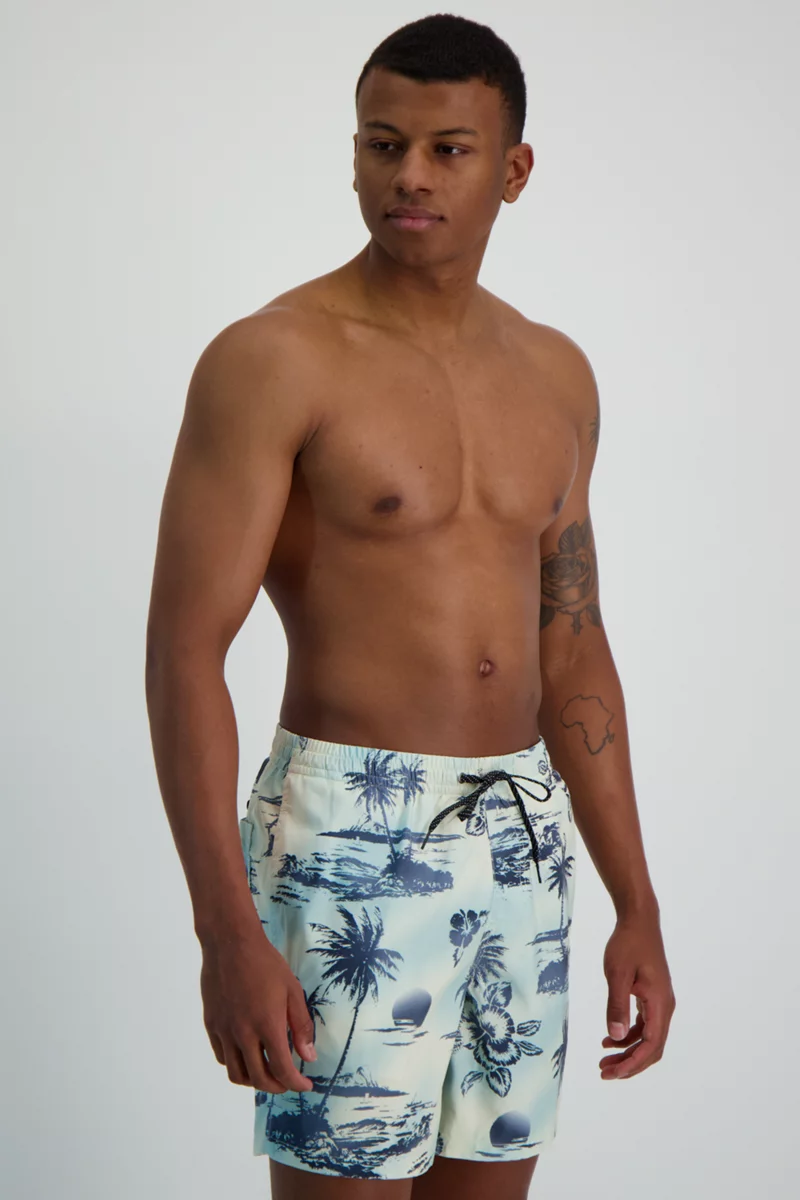 Quiksilver Everyday Mix 17 Inch Herren Badeshort