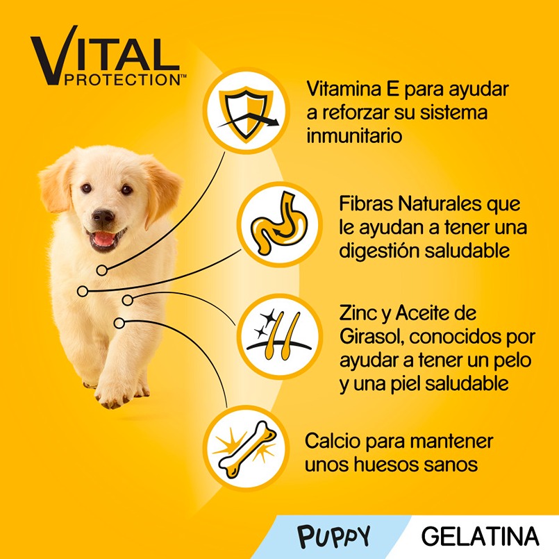 Ração Pedigree sabor Frango e Carne com Gelatina de Arroz para Filhotes - Pacote com Vários Sachês