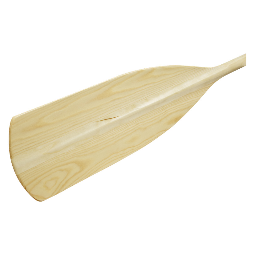 Padleåre