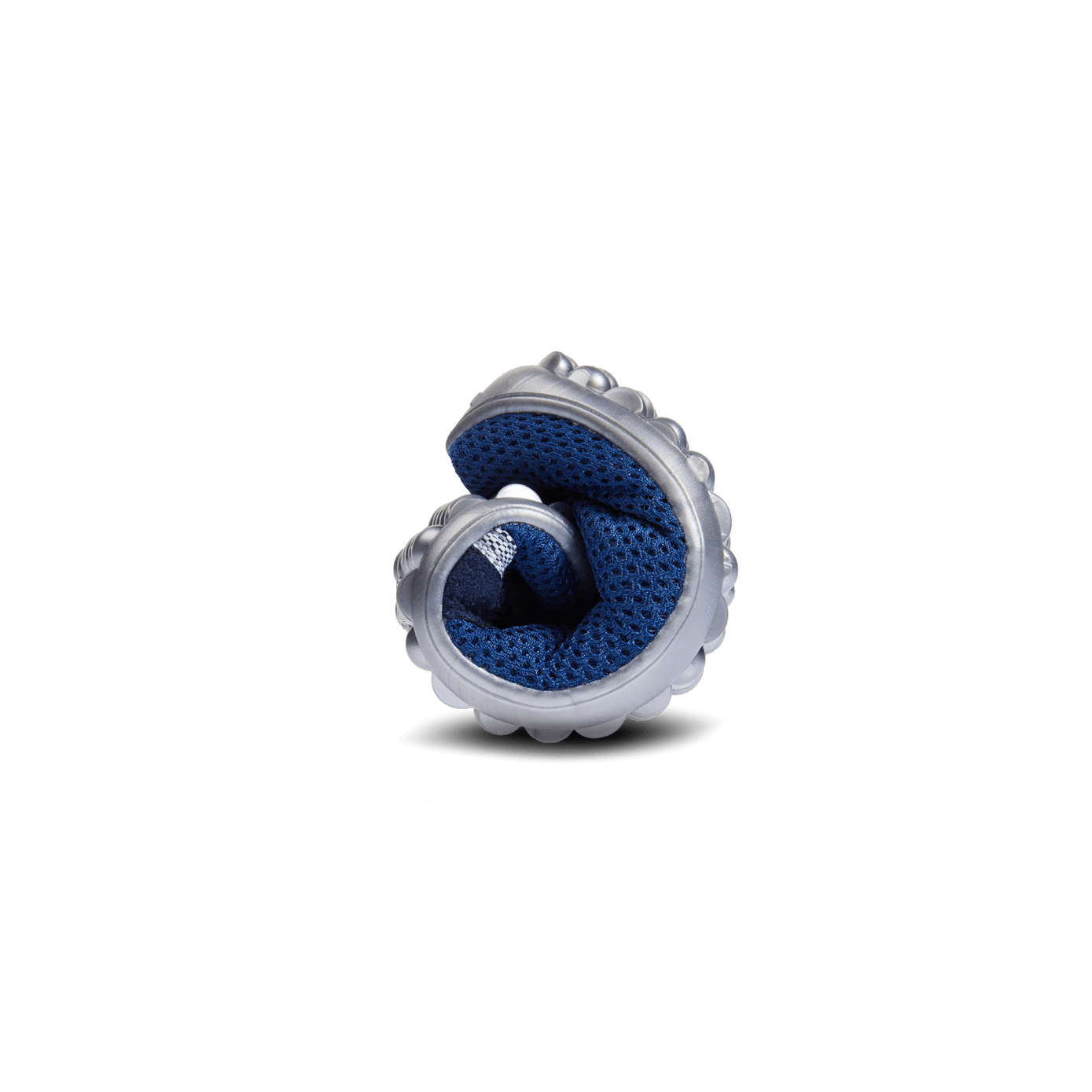 leguanito aktiv plus blau
