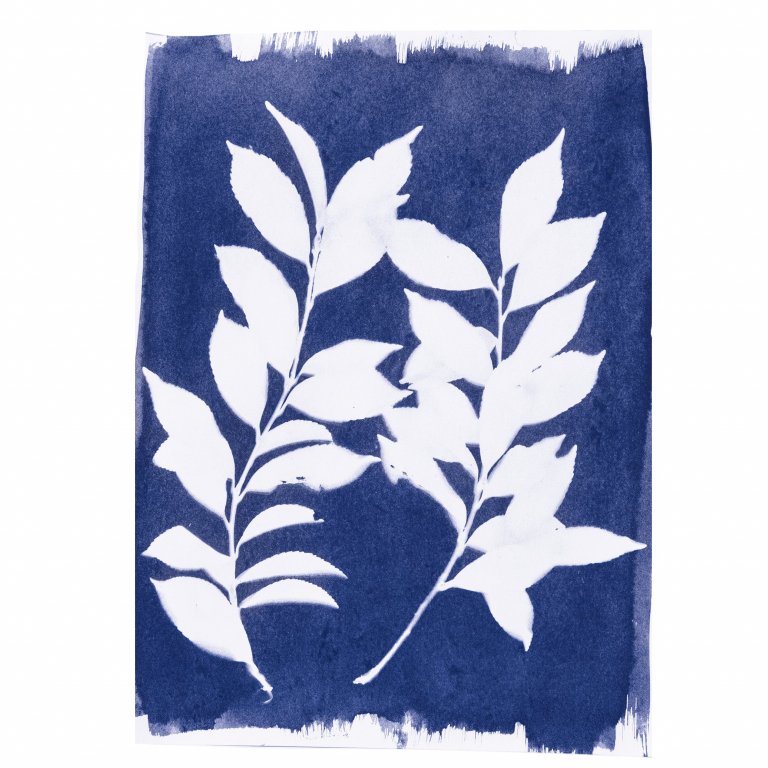 Jacquard Cyanotype, Blaudruck Set