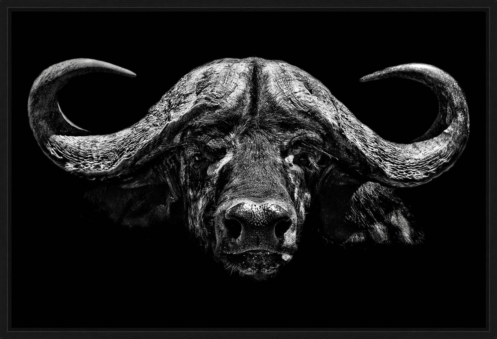 Infinity by Claudio Gotsch - Limited Edition. Edition of: 150. Signed.