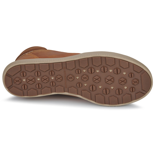 Caterpillar - PROXY MID - Marron