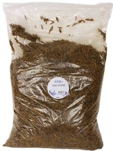 De Vries Meelworm Black Soldier Fly 120 GR