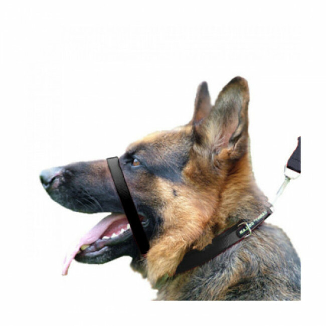 Collier licol Canny Collar pour chien