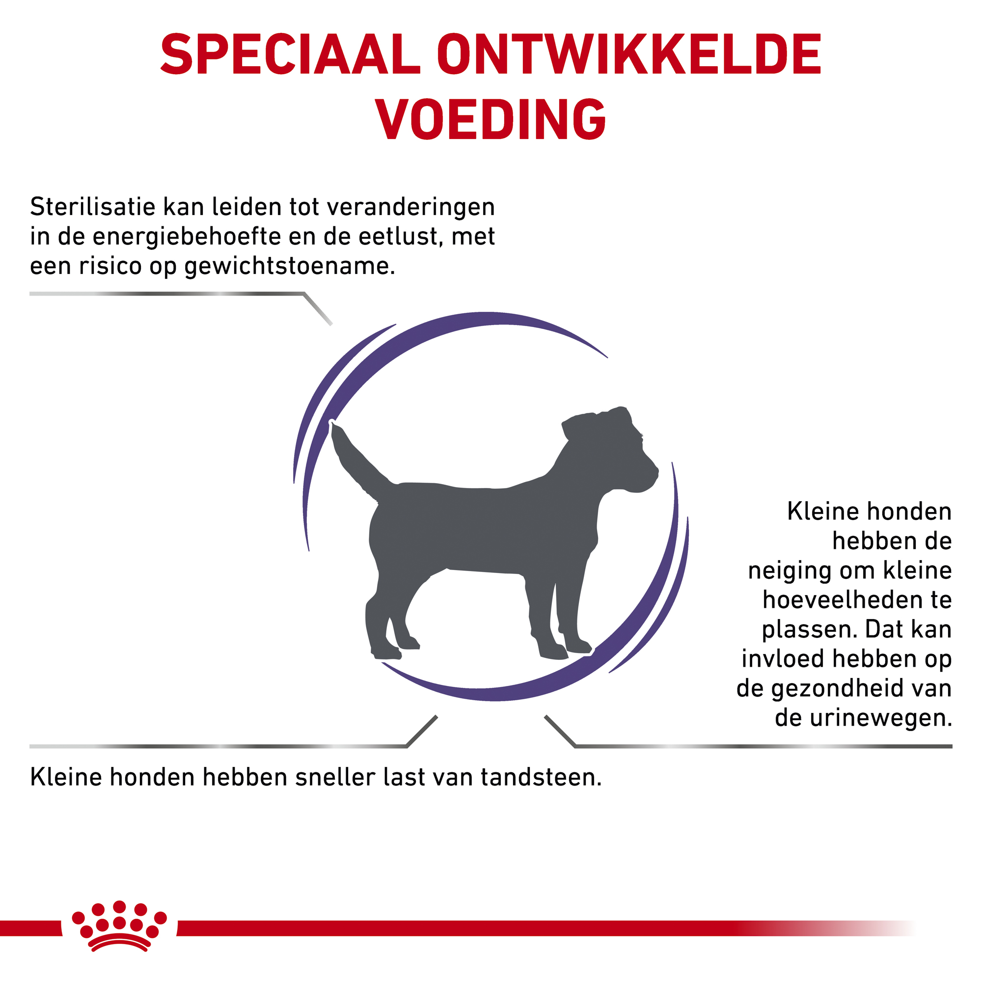Royal Canin VCN - Neutered Adult Small Dog