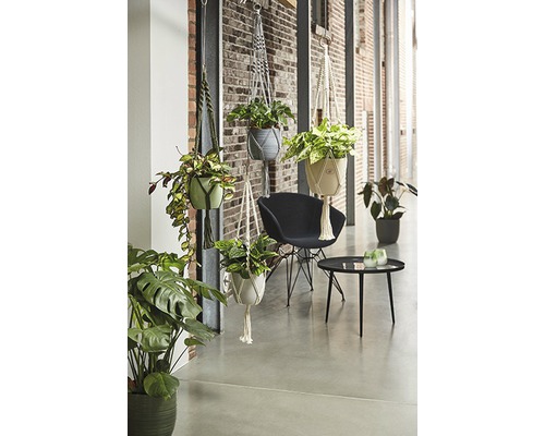 Macramé natuurlijk groen